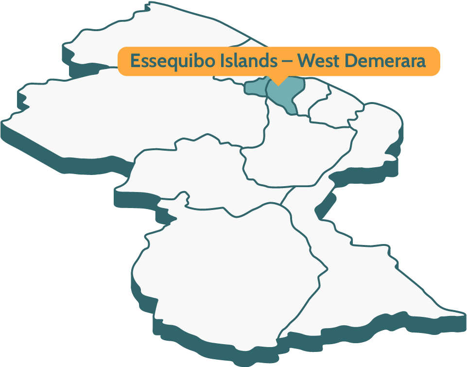 Region 3: Essequibo Islands – West Demerara